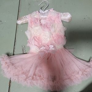 Tulle dog dress